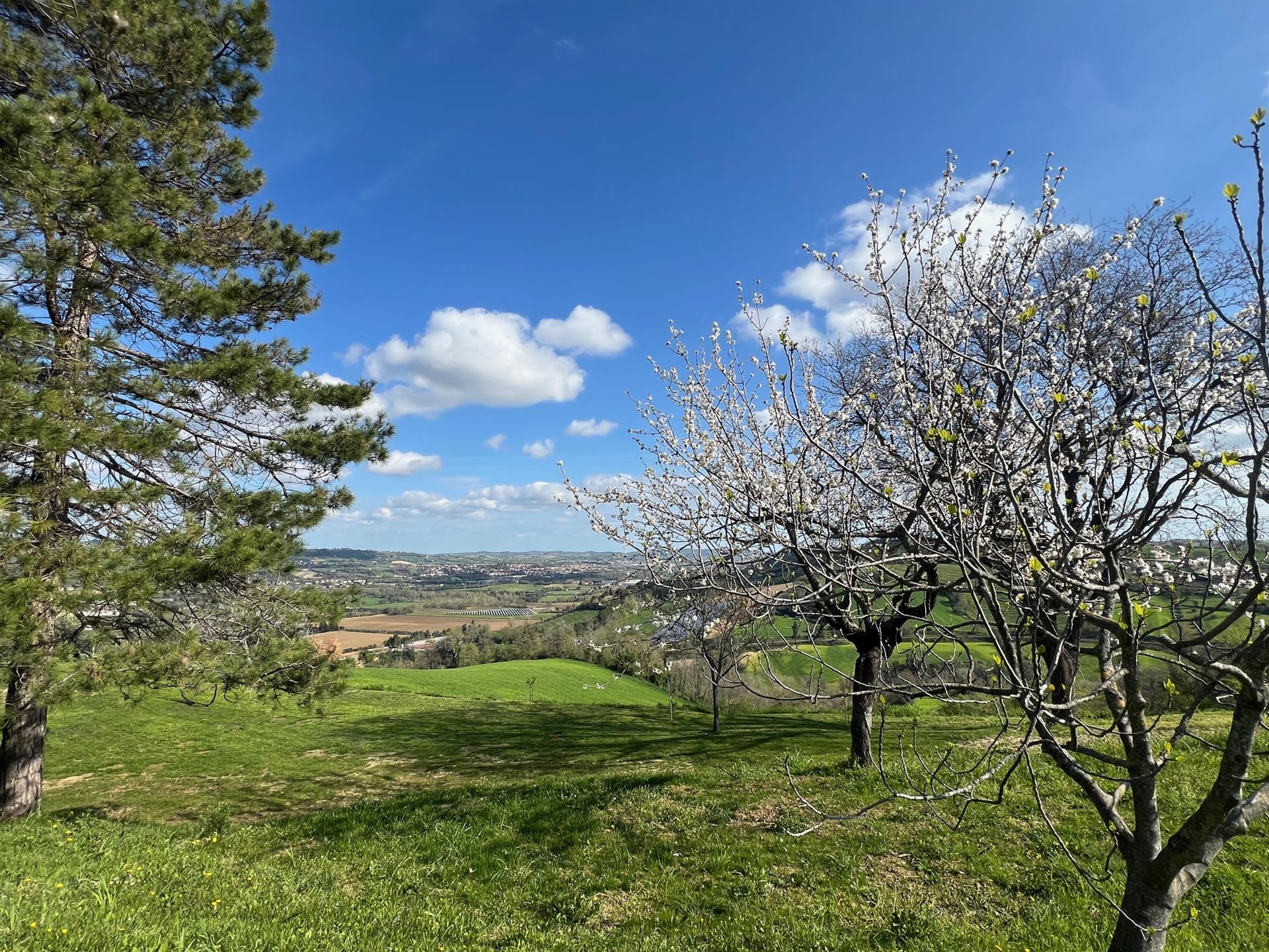 Luxury villa in the coutryside just a 15 minutes from Fano 