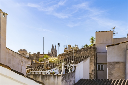 Gerenoveerd appartement met rustieke charme in de oude binnenstad van Palma