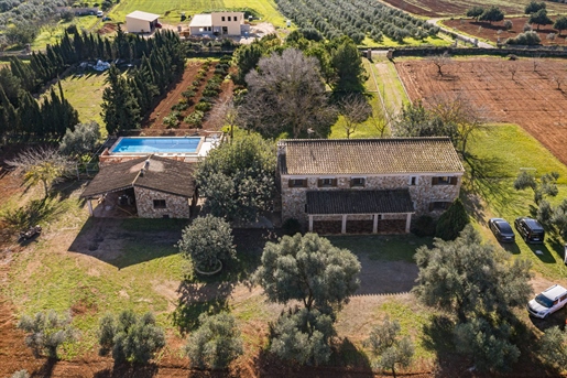 Finca with holiday license and olive tree plantation in Santa Eugenia