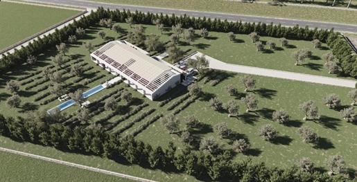 Plot with licence and finca project next to the golf course of Puntiró
