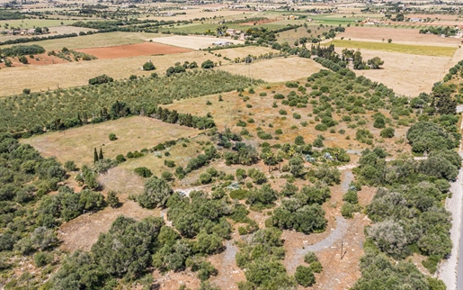 Riesiges rustikales Grundstück mit Bebauungsmöglichkeiten in Campos
