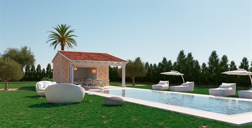 Atractivo terreno con proyecto de una finca con piscina en Alcudia