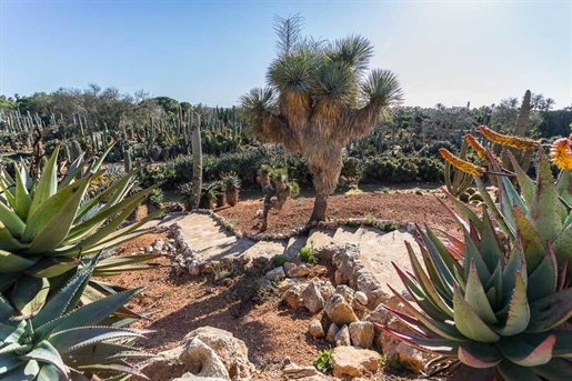 Fantastische Finca mit botanischem Garten in Ses Salines