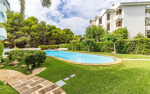 Appartement attrayant en première ligne piscine commune à Santa Ponsa