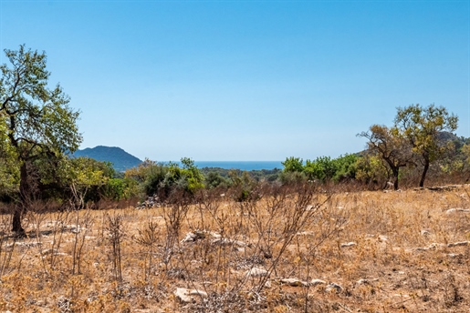 51,000 m2 building plot with sea and mountain views in Son Servera