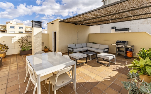 Bel appartement en duplex avec magnifique terrasse sur le toit dans le centre de Palma