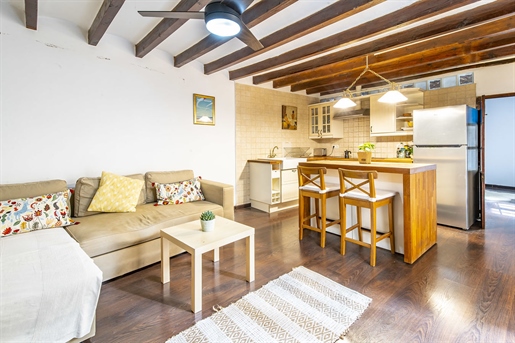 Beautiful apartment in the heart of the old town of Palma