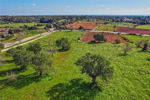 Lovely building plot with beautiful views in Santanyi