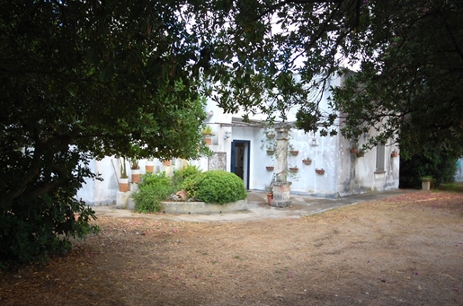 4 Camere - Casa - Puglia - In Vendita - 1417 - Opf