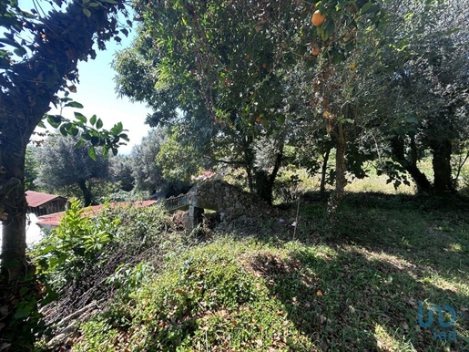 Tierra en el Viana do Castelo, Ponte de Lima