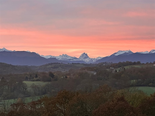 Sud De Pau - Domaine de caractère avec vue inégalée sur les Pyrénées