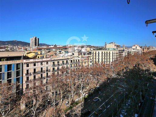 Penthouse with terrace overlooking the Eixample district of Barcelona.