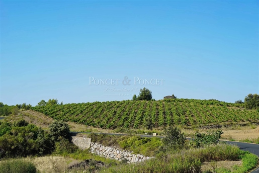 Vinogradarsko imanje Aop Faugères 9 ha Bio podrum i građevinsko zemljište.