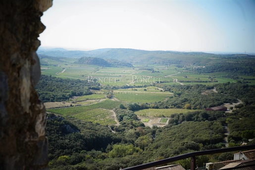 Vinogradarsko imanje Aop Faugères 9 ha Bio podrum i građevinsko zemljište.