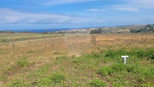 Land for sale in Santo Isidoro, Mafra