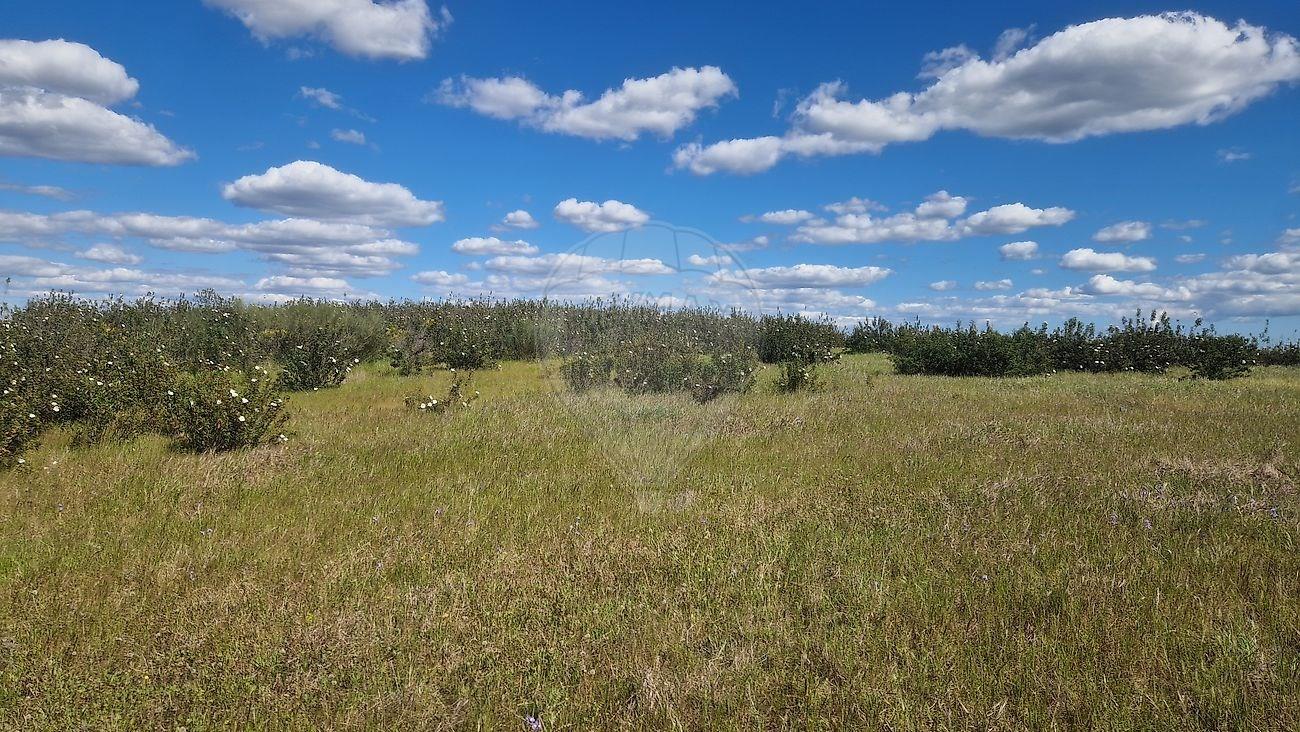 Land for sale in the parish of Espirito Santo, Mértola, with 12,725 hectares of arable land, in an a