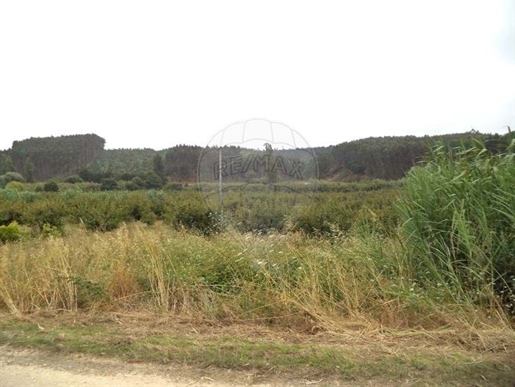 Terreno à venda em Bombarral e Vale Covo, Bombarral