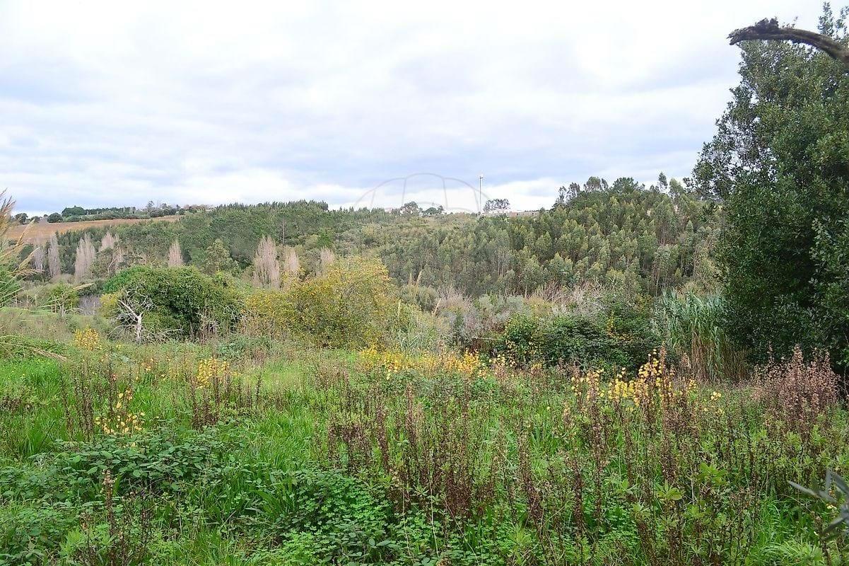 Tierra Para venta