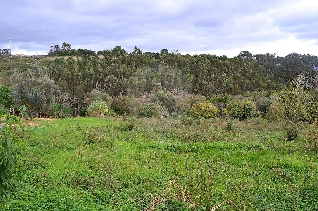 Tierra Para venta