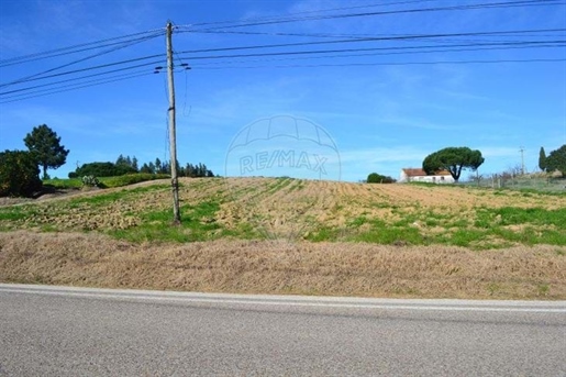 Land for sale in Bombarral e Vale Covo, Bombarral