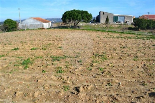 Land for sale in Bombarral e Vale Covo, Bombarral