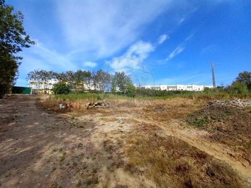 Land for sale in Lourinhã e Atalaia, Lourinhã