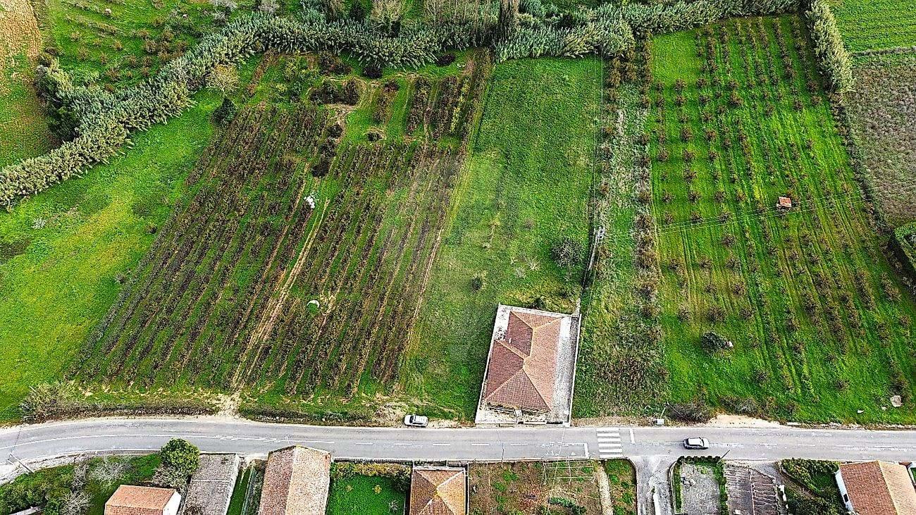 Tierra Para venta