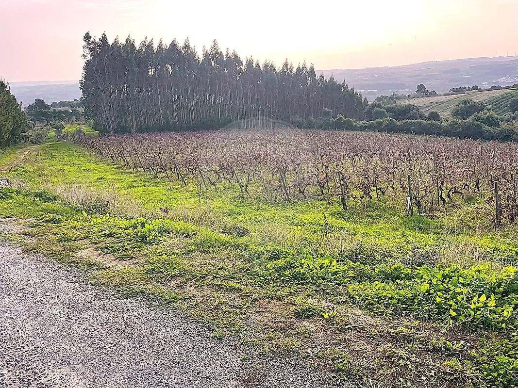 Tierra Para venta