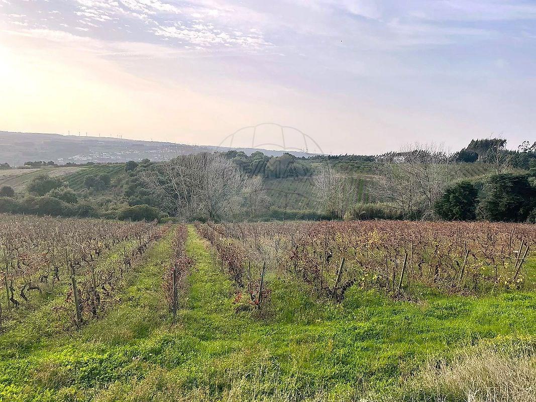 Tierra Para venta