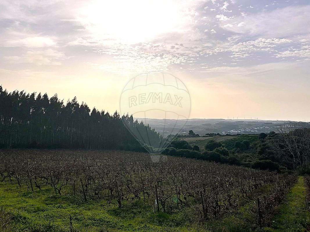 Tierra Para venta