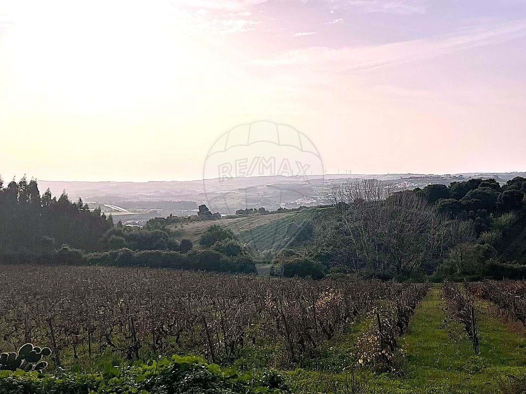 Tierra Para venta