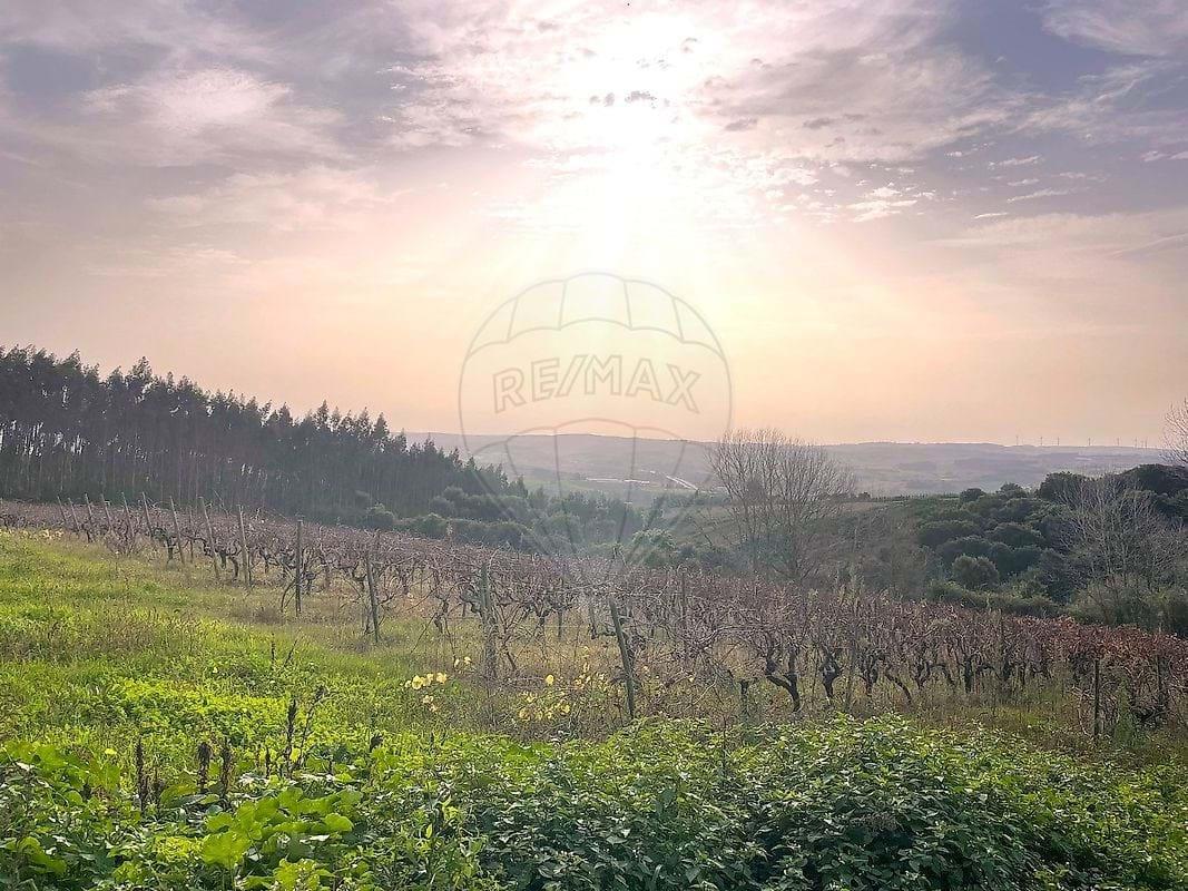Tierra Para venta