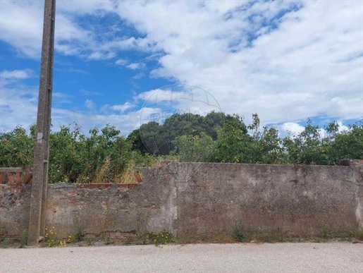 Land for sale in Miragaia e Marteleira, Lourinhã