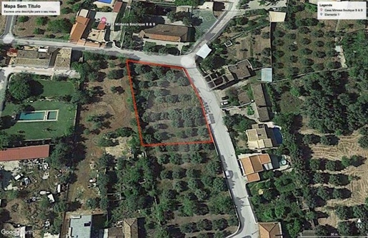 Land for sale in São Brás de Alportel, São Brás de Alportel