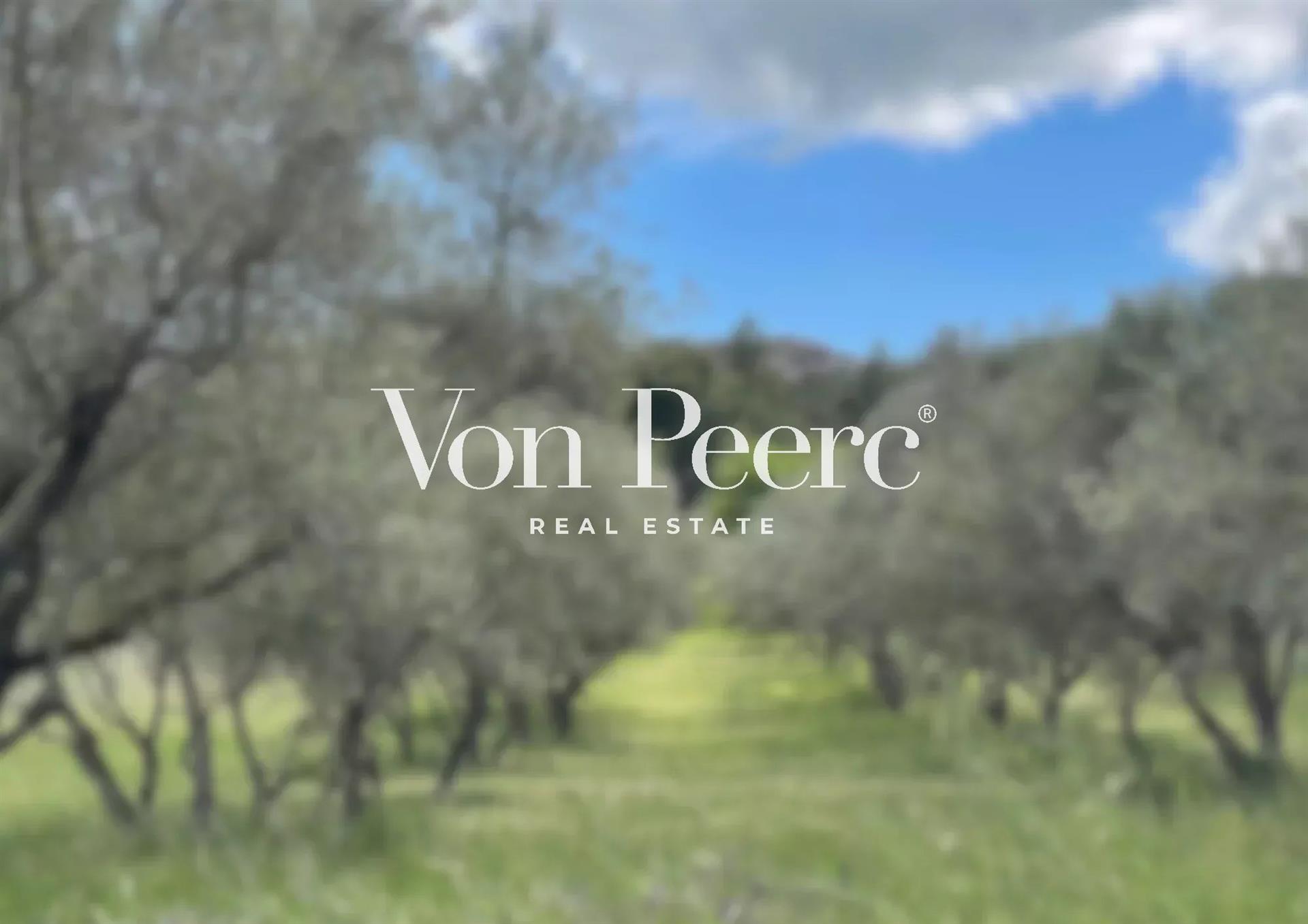 Exceptional Building Plot – Saint-Rémy-de-Provence