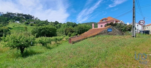 Dorfhaus in Caldas da Rainha, Leiria