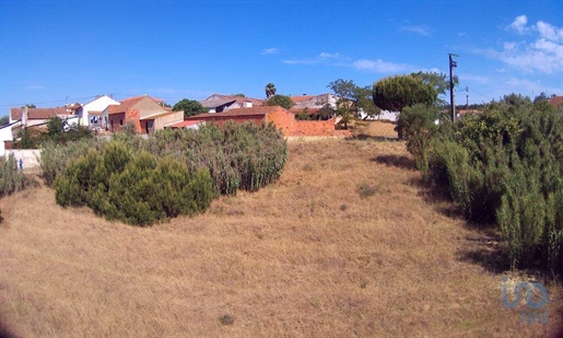 Terra a Rio Maior, Santarém