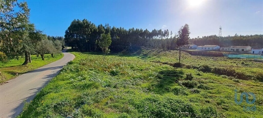 מכירה: מגרש (2040)