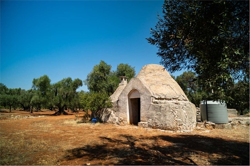 Trullo da ristrutturare San Michele Salentino