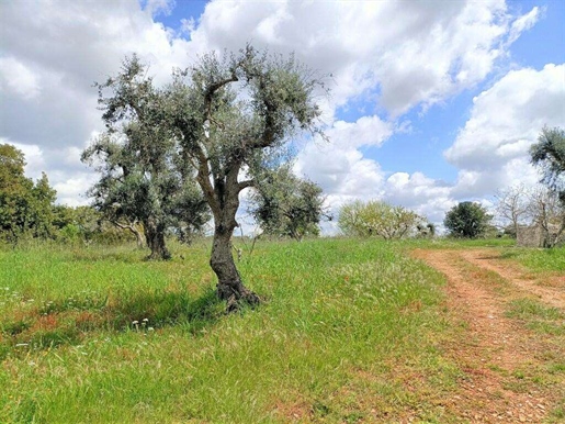 Trullo pour rénover Ceglie Messapica