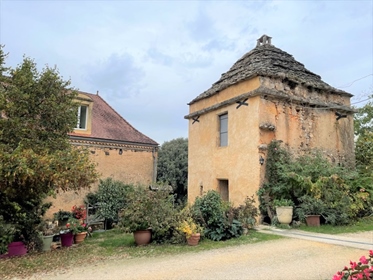 Vues panoramiques pour cet bel ensemble avec maison principale, 2 gites et dépendances - Dordogne