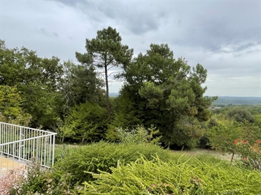 Panoramisch uitzicht voor dit prachtige ensemble met hoofdgebouw, 2 gites en bijgebouwen - Dordogne