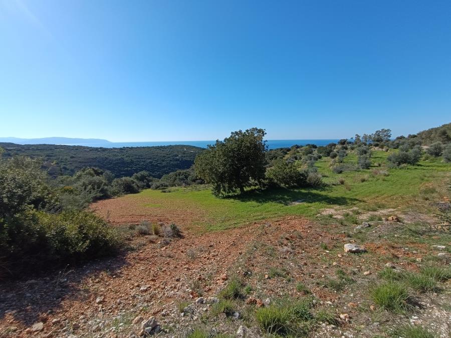 Commercial Plot 16,983 sq m, Kefallinia Prefecture
