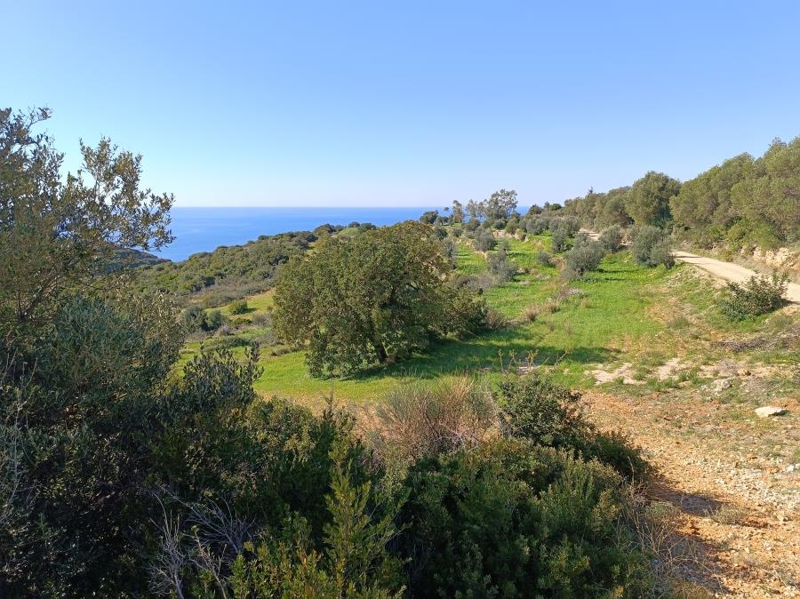 Commercial Plot 16,983 sq m, Kefallinia Prefecture