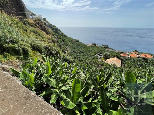 Grundstück mit 2.295m2 in Calheta, Madeira