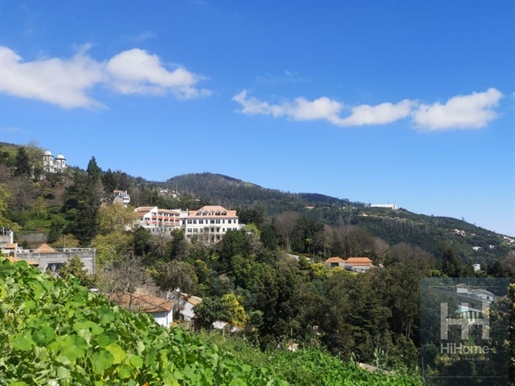 Terreno com 590 m2 no Monte no Funchal