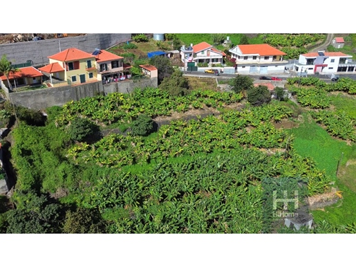 Land for construction of villas with sea view in Ribeira Brava