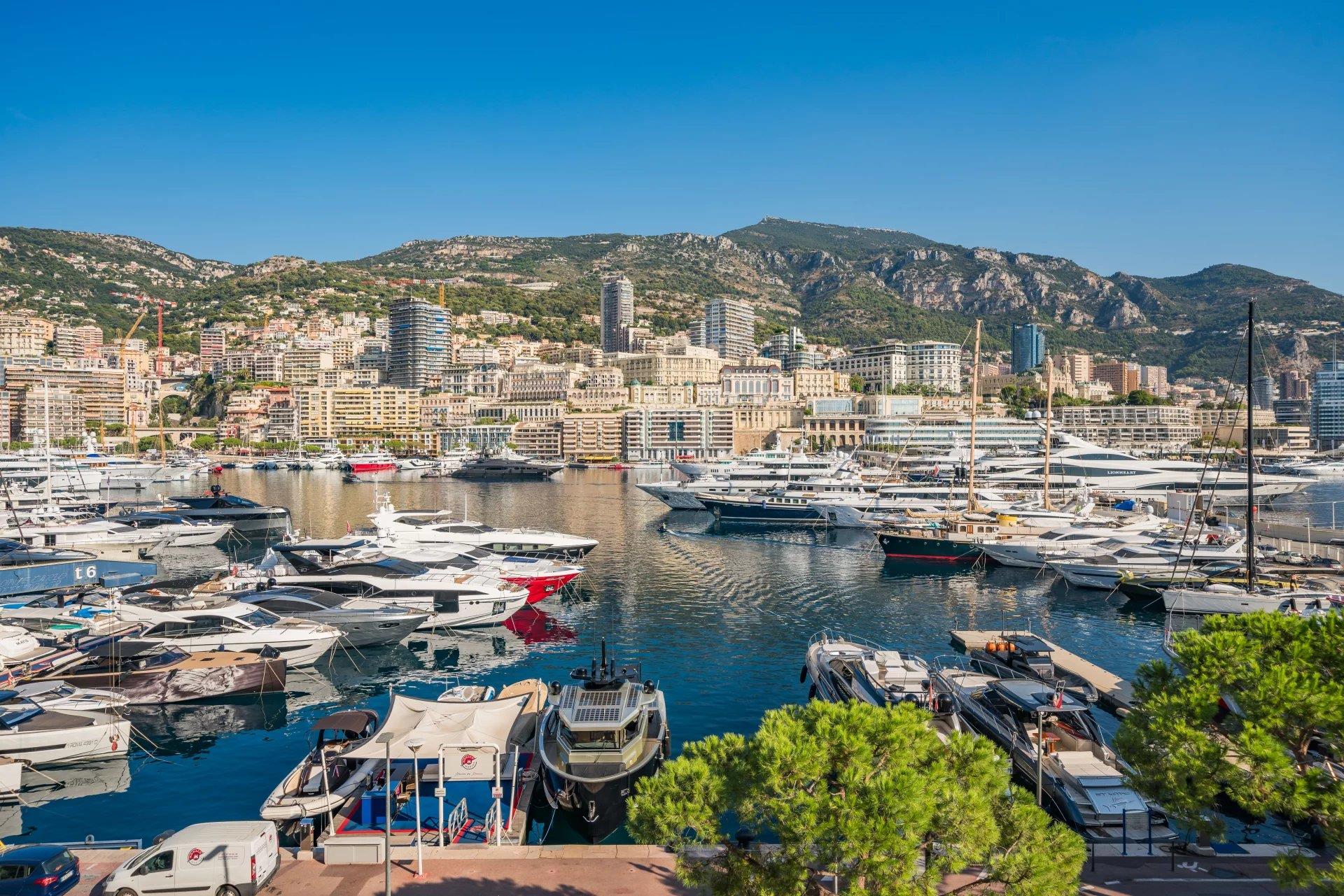 Monaco Harbour - Splendid fully renovated 4 bedroom apartment