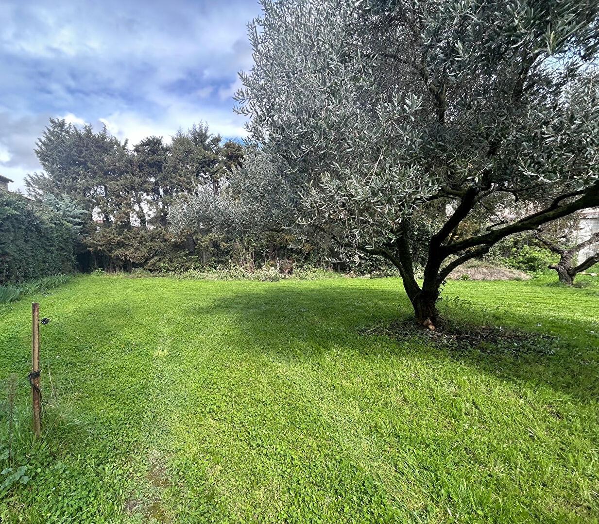 Compra: Terreno (13440)