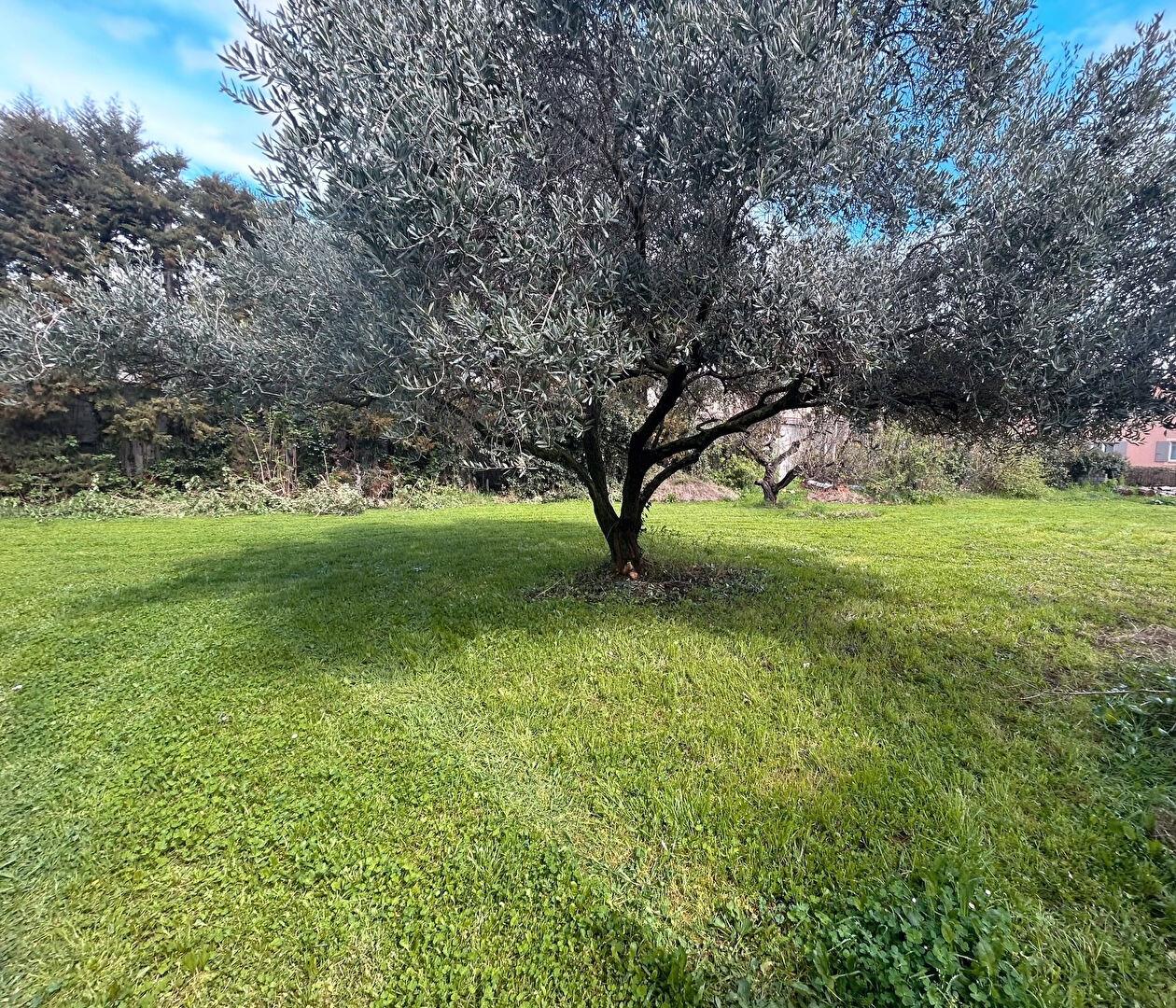 Compra: Terreno (13440)